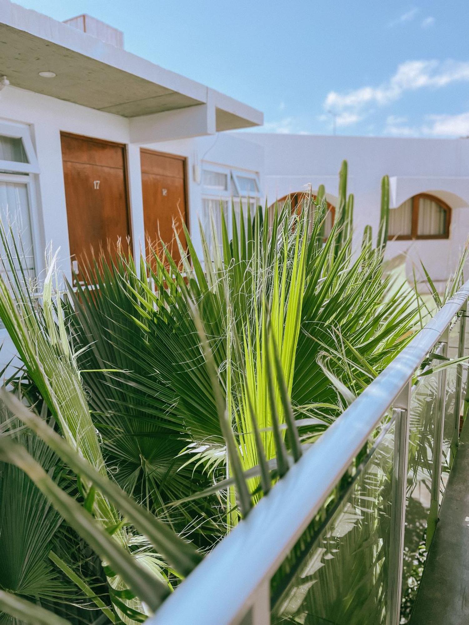 Hotel Puerto Chinchorro 아리카 외부 사진